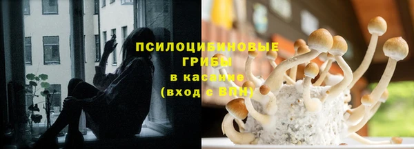 наркотики Бородино