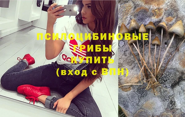 наркотики Бородино