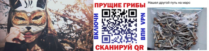 Псилоцибиновые грибы ЛСД Шумерля