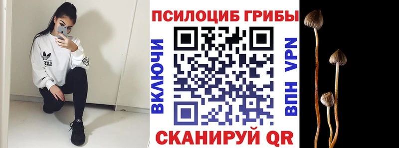 mega как войти  Шумерля  Псилоцибиновые грибы Cubensis 